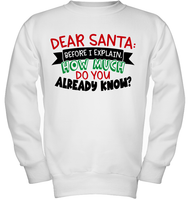 Funny Christmas Shirt - Dear Santa Before I Explain How Much Do You Already Know