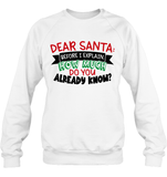 Funny Christmas Shirt - Dear Santa Before I Explain How Much Do You Already Know