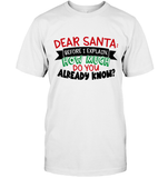 Funny Christmas Shirt - Dear Santa Before I Explain How Much Do You Already Know