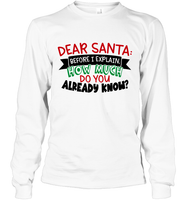 Funny Christmas Shirt - Dear Santa Before I Explain How Much Do You Already Know