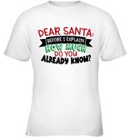 Funny Christmas Shirt - Dear Santa Before I Explain How Much Do You Already Know