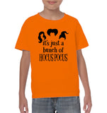 Hocus Pocus It's Just A Bunch Of Hocus Pocus Kids Classic Tee