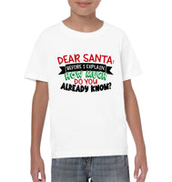 Funny Christmas Shirt - Dear Santa Before I Explain How Much Do You Already Know