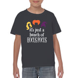 Hocus Pocus It's Just A Bunch Of Hocus Pocus Unisex Shirt, Long Sleeve, Hoodie, Sweatshirt