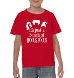 Hocus Pocus It's Just A Bunch Of Hocus Pocus Kids Classic Tee