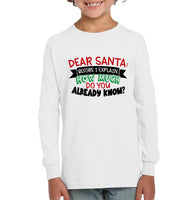 Funny Christmas Shirt - Dear Santa Before I Explain How Much Do You Already Know