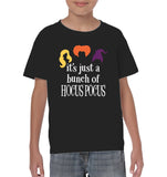 Hocus Pocus It's Just A Bunch Of Hocus Pocus Unisex Shirt, Long Sleeve, Hoodie, Sweatshirt