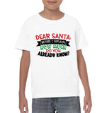 Funny Christmas Shirt - Dear Santa Before I Explain How Much Do You Already Know